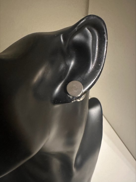 Magnetische ronde oorbellen