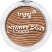 Trend it up Blush Poeder 060 - 5 gr - Powder Blush
