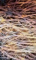 Fotobehang - Hay Abstract I 150x250cm - Vliesbehang