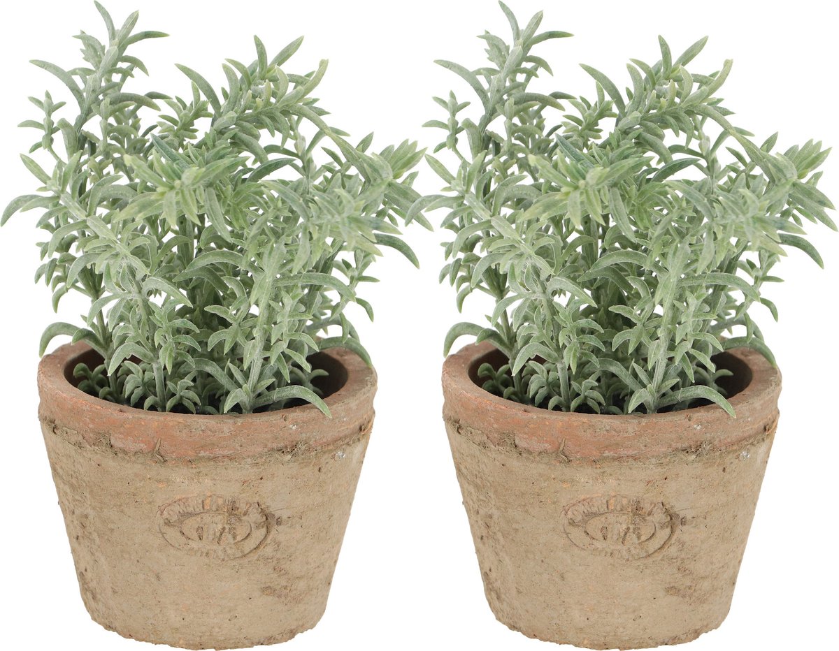 Esschert Design Kunstplant/kruiden tijm - 2x - in oude terracotta pot - 15 cm - kruiden
