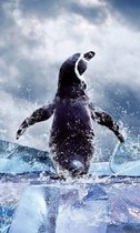 Fotobehang - Penguin 150x250cm - Vliesbehang