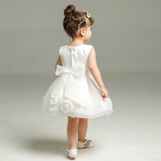 TTYAOVO Geborduurde tule bloemen prinses bruidsmeisje bruiloft verjaardagsfeestje lange mouwen jurk voor babymeisjes, 0-6 maanden