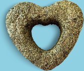 Croci coeur d'herbe à chat euphoria 7 cm