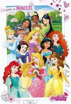 Princesses Disney - Maxi affiche (769)