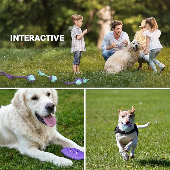 ZENVALY Piepend speelgoed voor hond, hondenspeelgoed, krokodil pluche speelgoed voor honden, veilig kauwspeelgoed voor kleine middelgrote honden, blauw