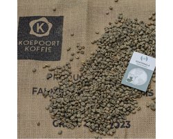 Guatemala Huehuetenango - ongebrande groene koffiebonen - 1 kg