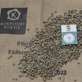 Bolivia Primera - ongebrande groene koffiebonen - 1 kg