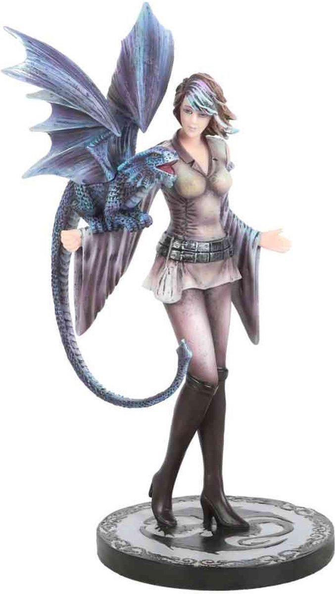 Something Different - Dragon Trainer Beeld/figuur - Multicolours