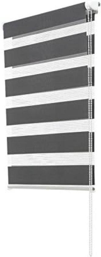 Rolgordijn, zebrapatroon, 45 x 170 cm, grijs