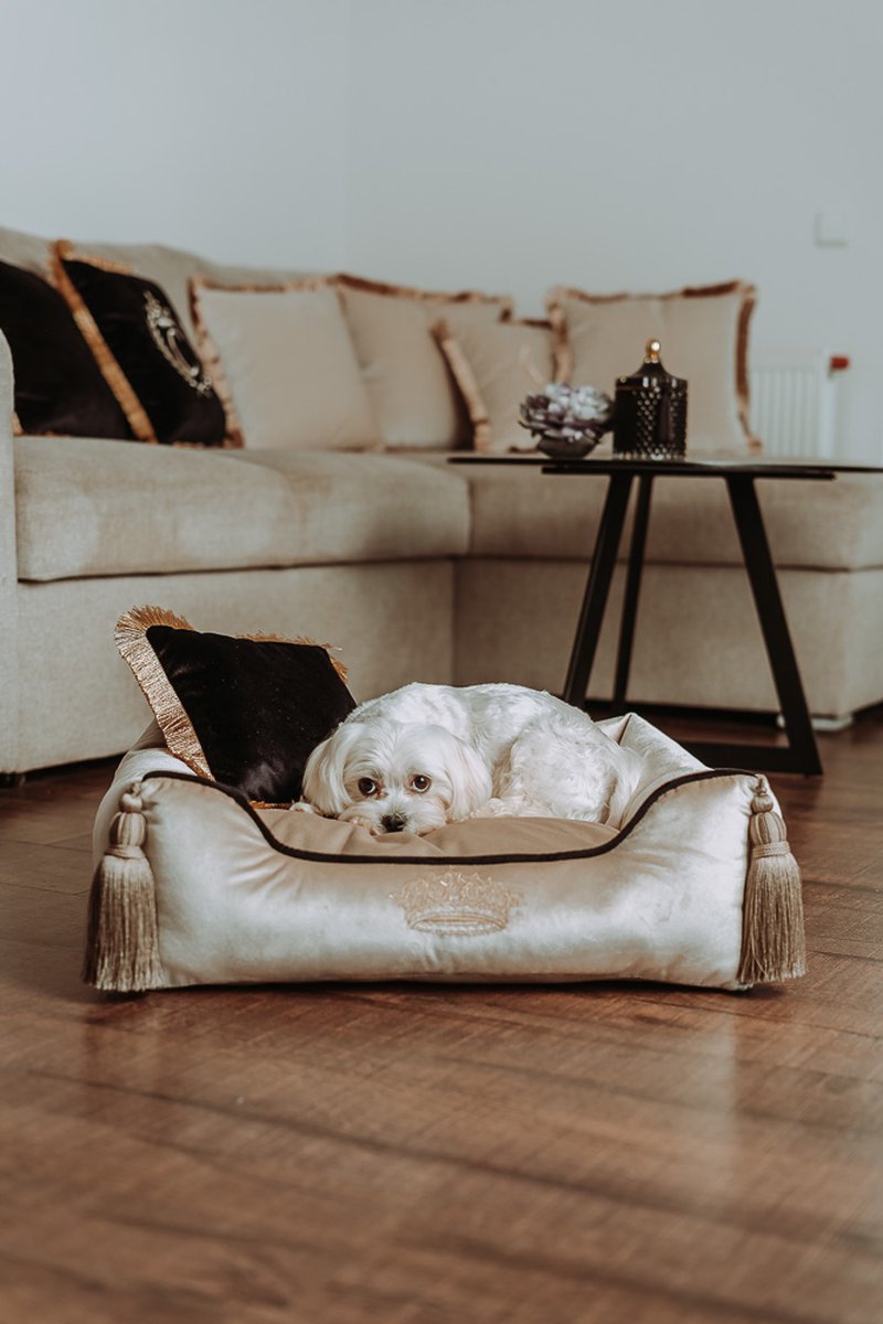 Luxe fluwelen vierkant huisdierenbed - Hondenbed - Velvet Dog Bed - Wasbaar - Beige L