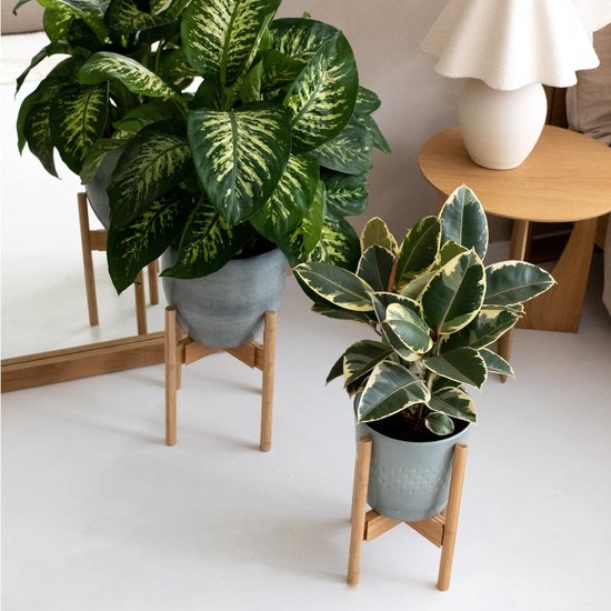 Rotan plantenstandaard kopen? - Sweet Living Shop