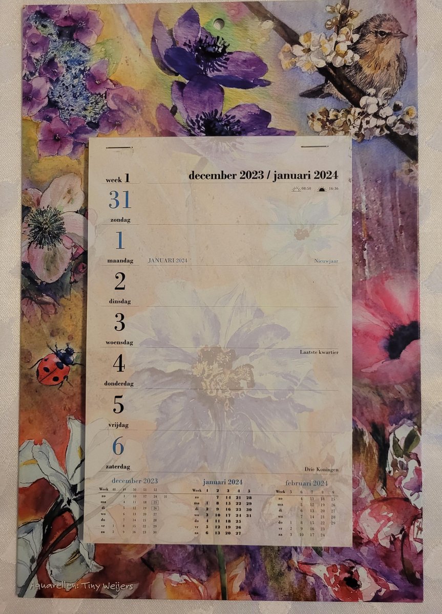 LIBOZA - Week-wandkalender 2024 - Prachtig geïllustreerd door Tiny Weijers - Bloemen/Diertjes - Met Eco Pen - Veel schrijfruimte - Stevig kartonnen achterkant - Ophanggaatje - Cadeau - verjaardag - Valentijn - Moederdag - Zo maar