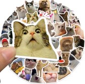 Grappige Meme Katten Stickers 50 Stuks | Dieren Stickers | Kat Poes Kitten | Humor | Stickers Kinderen Volwassenen