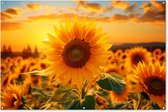 Tuinposter zonnebloem - Tuindecoratie bloemen - 180x120 cm - Wanddecoratie voor buiten - Schutting decoratie - Buitenposter geel - Schuttingdoek - Tuindoeken - Tuin doek - Balkon poster