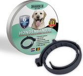 Vlooien- en tekenband | voor honden | zwart | 100% natuurlijk | zonder pesticiden | veilig voor mens en dier | milieuvriendelijk en effectief