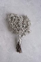 Couronne - Decoratiemateriaal 'Pepperberry' (200gr, Platinum)