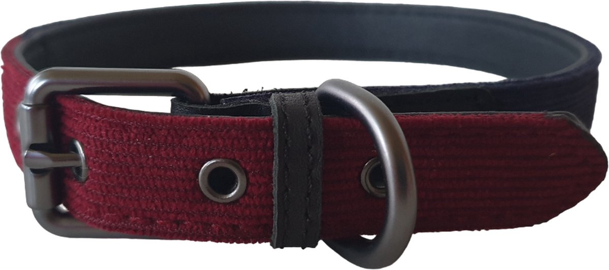 51 Degrees North Milano Hondenhalsband - Corduroy - Blauw / Bordeauxrood - Breedte: 20 mm - Nekomtrek: 36 - 45 cm (GELIEVE ALVORENS BESTELLEN OPMETEN)