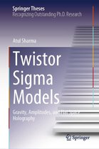 Springer Theses - Twistor Sigma Models