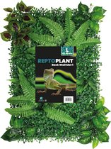Repto Plant Achterwand Mat 40-60Cm