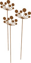 Industrial Garden - Allium cortenstaal set van 3 - Tuinornament - 144cm