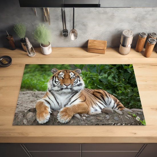 KitchenYeah® Inductie beschermer 80x52 cm - Tijger - Natuur - Stenen - Kookplaataccessoires - Afdekplaat voor kookplaat - Inductiebeschermer - Inductiemat - Inductieplaat mat