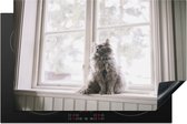 KitchenYeah® Inductie beschermer 80x52 cm - Maine Coon kat zittend in de vensterbank - Kookplaataccessoires - Afdekplaat voor kookplaat - Inductiebeschermer - Inductiemat - Inductieplaat mat