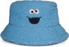 Cookie Monster - Chapeau Bob Teddy - Chapeau Sesamstraat