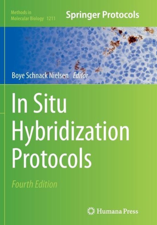 Foto: In situ hybridization protocols