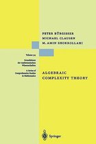 Algebraic Complexity Theory