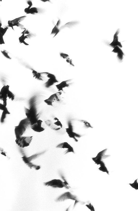 Extreem luid & ongelooflijk dichtbij