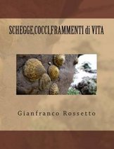 Shegge, Cocci, Frammenti Di Vita