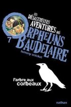 Les Desastreuses Aventures DES Orphelins Baudelaire