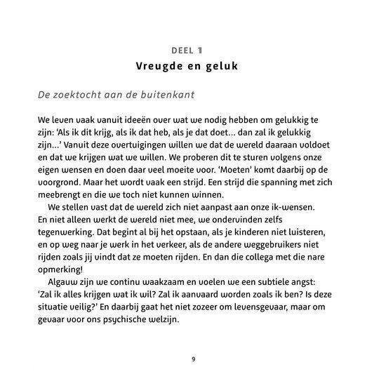 Mindful gelukkig - Vreugdemeditaties