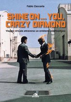 Shine on…you, crazy diamond