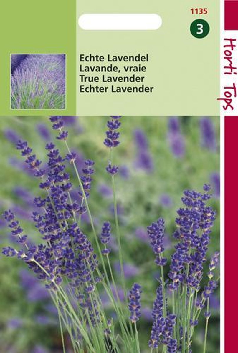 bol.com | Hortitops Zaden Lavendel (Lavandula officinalis)