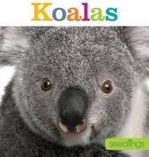 Koalas