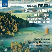 Czech National Symphony Orchestra, Marek Štilec - Fibich: Symphony No.1 In F-Major (CD)