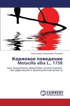 Kormovoe Povedenie Motacilla Alba L., 1758