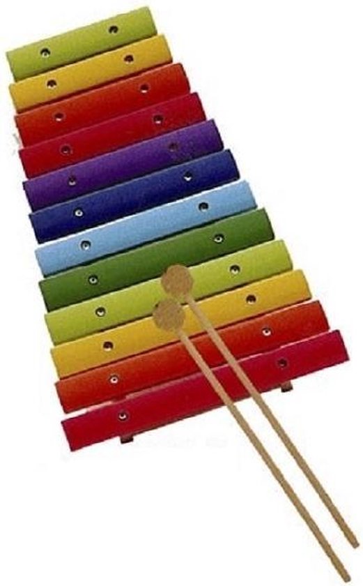 band Afspraak Voor type Houten xylofoon kind 12 noten kleur | bol.com