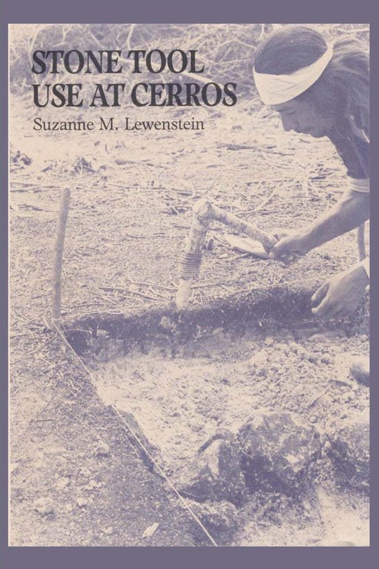 Stone Tool Use at Cerros - cover