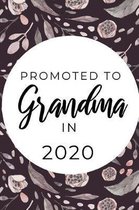 Promoted To Grandma in 2020