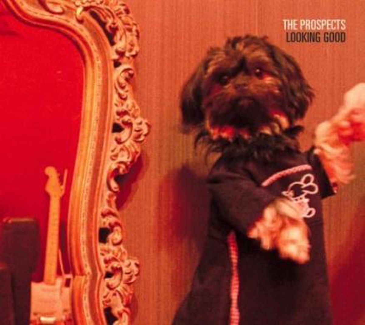 The Prospects - Looking Good (CD)