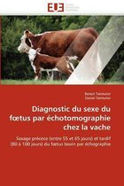 Diagnostic du sexe du foetus par échotomographie chez la vache