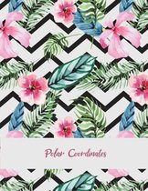 Polar Coordinates