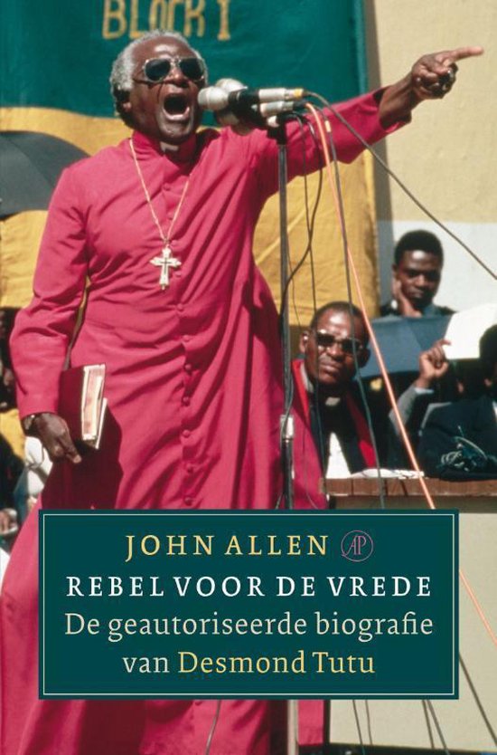 Cover van het boek 'Rebel voor de vrede' van Judy Allen
