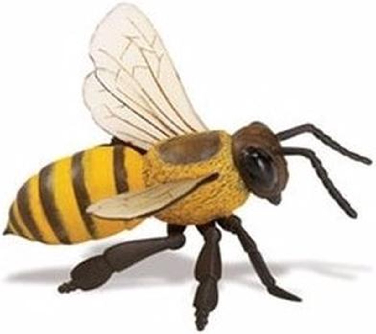 niet verwant Fotoelektrisch waardigheid Plastic insecten/dieren speelgoed figuur honingbij 14 cm - Deco figuren |  bol.com