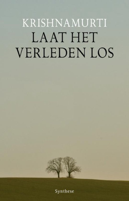 Cover van het boek 'Laat het verleden los'