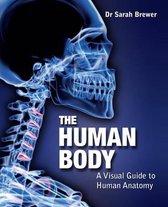 The Human Body