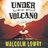Under the Volcano - Malcolm Lowry, Michael Schmidt
