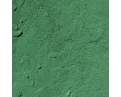 Spirulina Poeder (500ml)